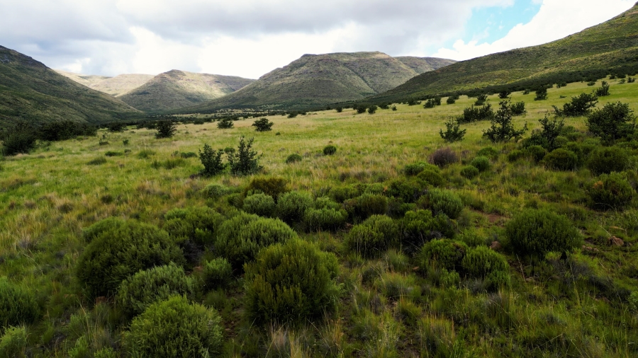 4 Bedroom Property for Sale in Lady Grey Eastern Cape